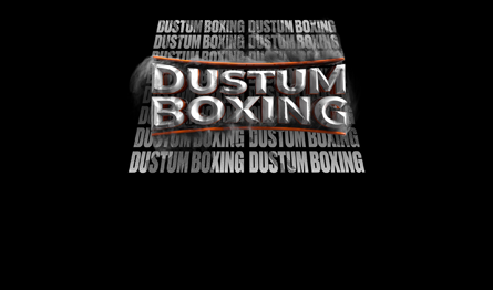 Профессиональный бокс. Dustum Boxing
